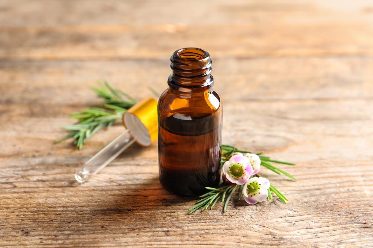 Unveiling the Power of Plants: A Guide to Essential Oils in Nature's Gift Products